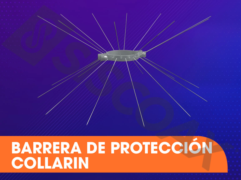 alt="anillo"