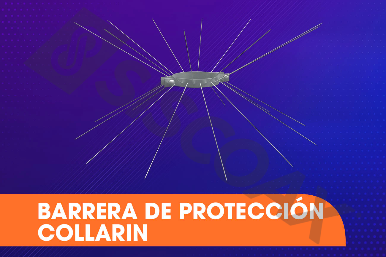 alt="anillo"