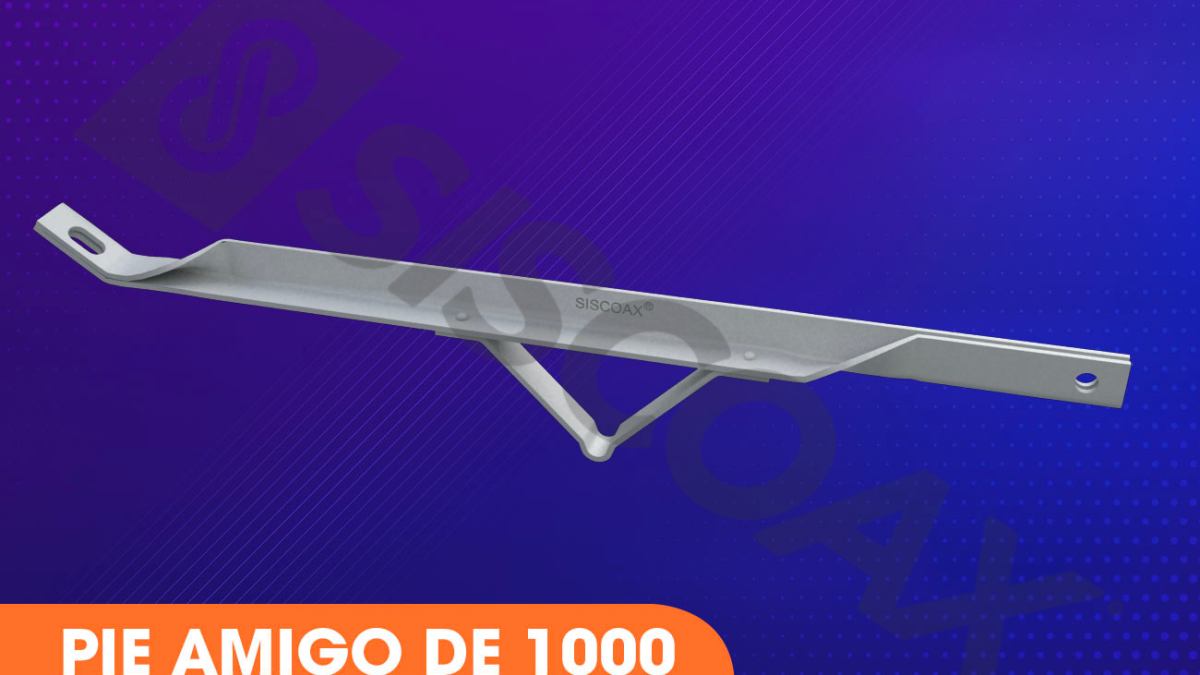 alt="pie-amigo-de-1000"