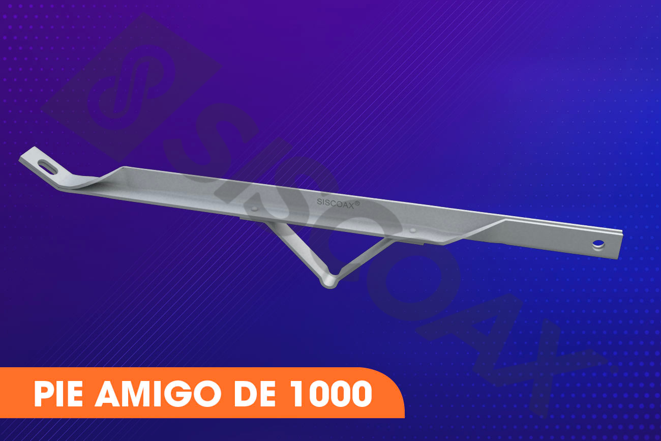 alt="pie-amigo-de-1000"